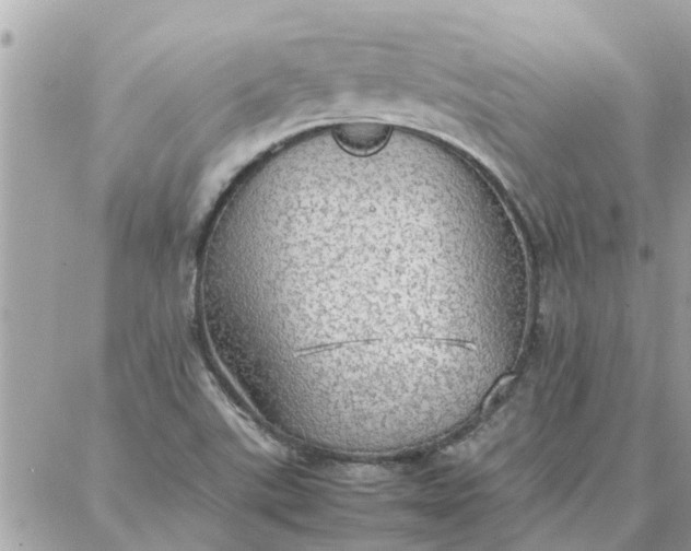 X0000087361507200705041842