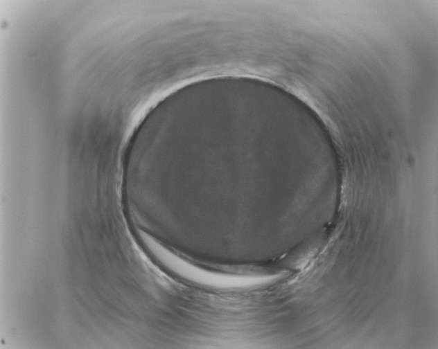 X0000087361508200705041842