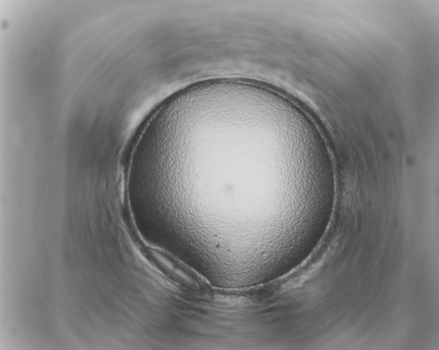 X0000087361509200705041842