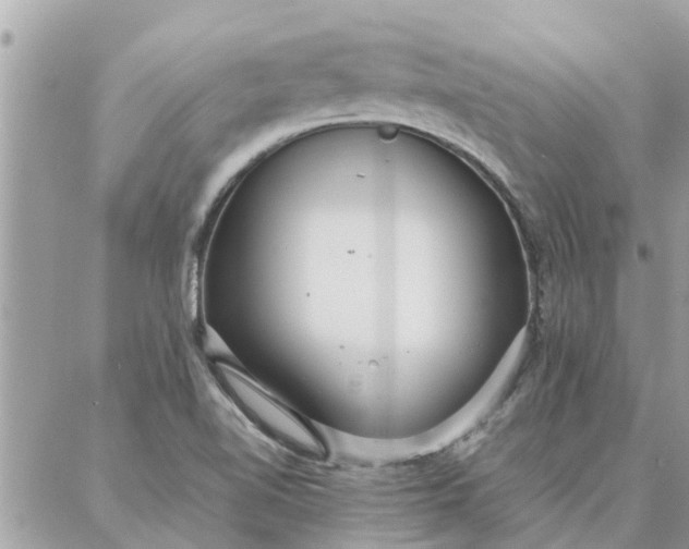 X0000087361510200705041842