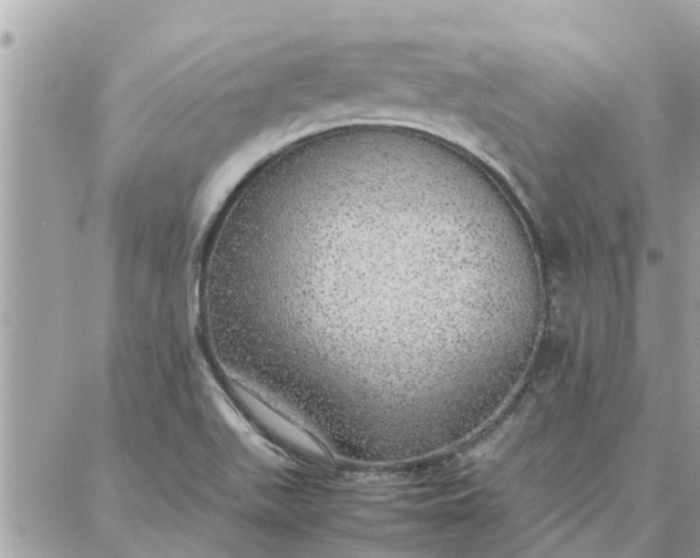 X0000087361511200705041842