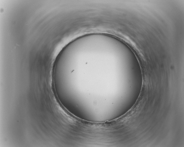 X0000087361512200705041842