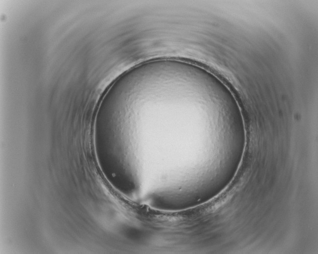 X0000087361513200705041842