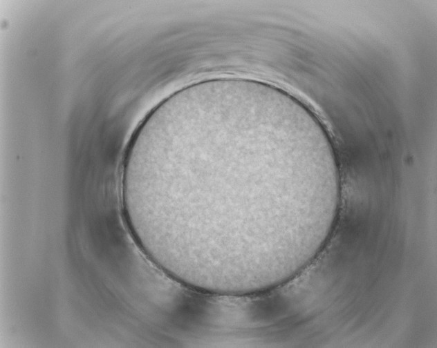 X0000087361514200705041842