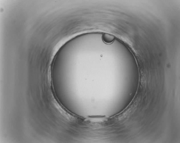 X0000087361516200705041842