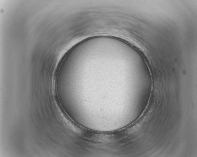 X0000087361517200705041842