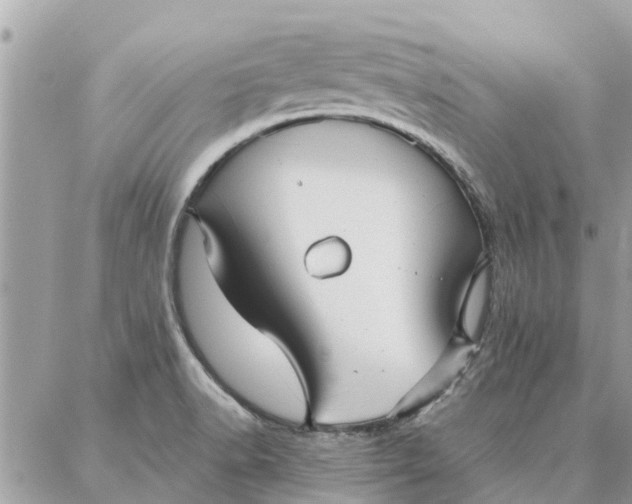 X0000087361518200705041842