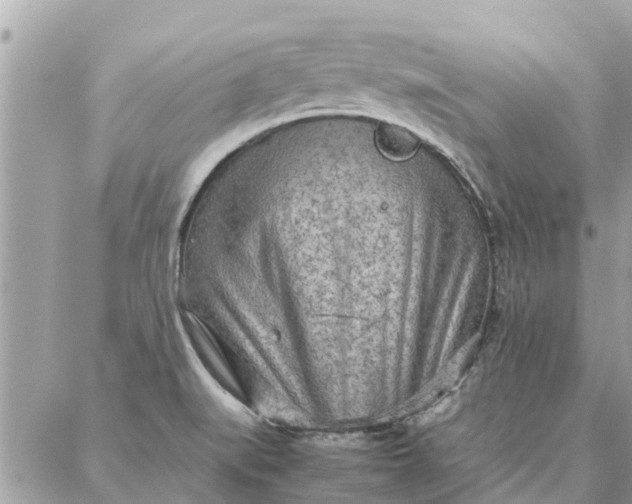 X0000087361519200705041842