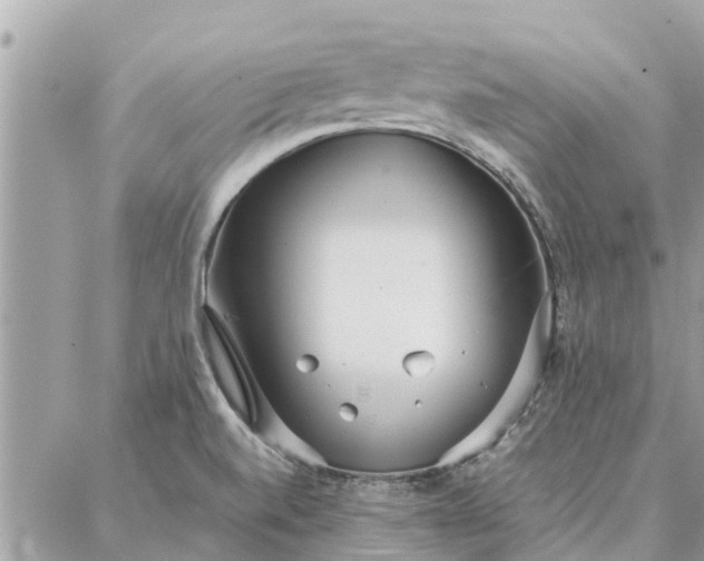 X0000087361520200705041842