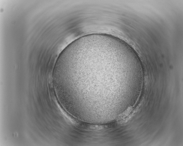 X0000087361521200705041842