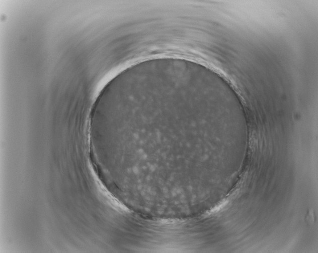 X0000087361522200705041842