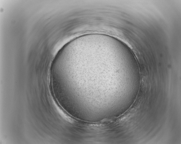 X0000087361523200705041842