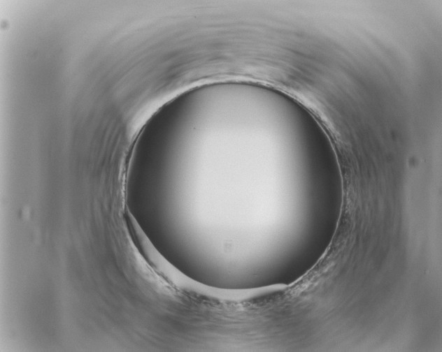 X0000087361524200705041842