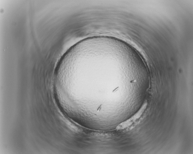 X0000087361525200705041842