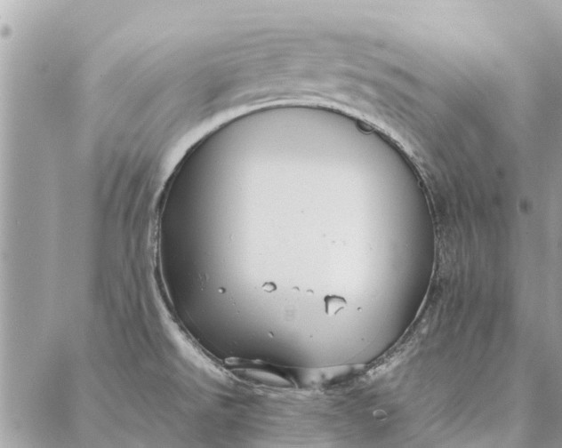 X0000087361526200705041842