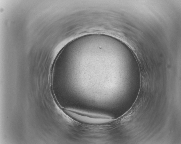 X0000087361527200705041842