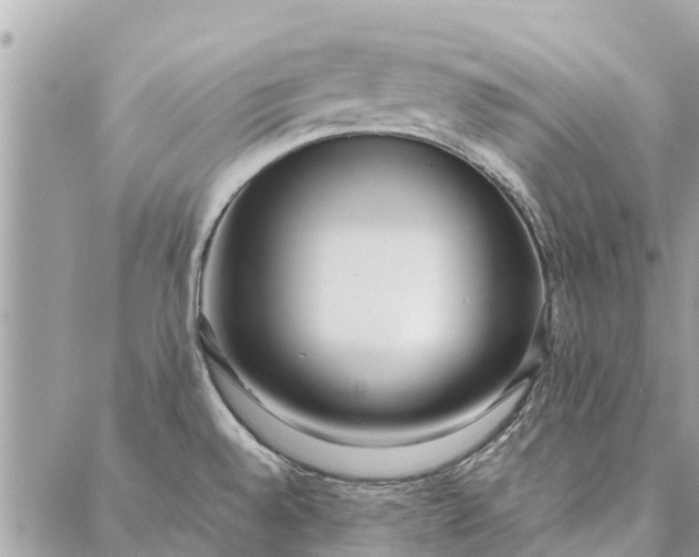 X0000087361528200705041842