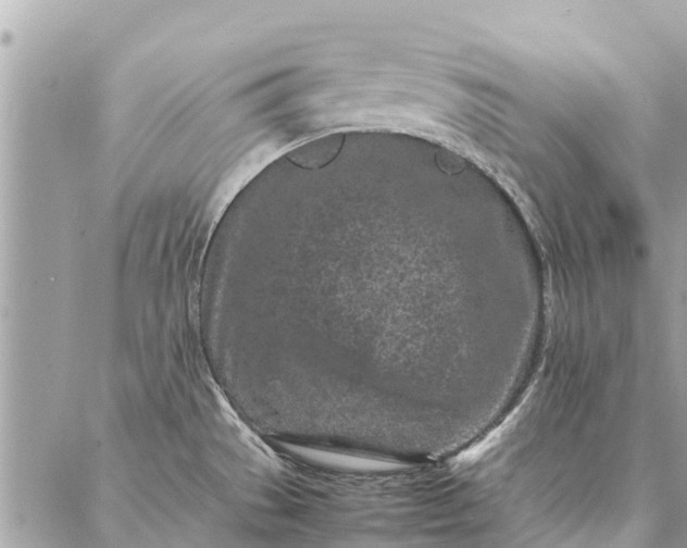 X0000087361529200705041842