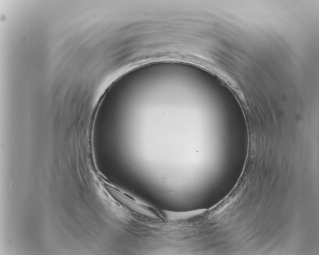 X0000087361530200705041842