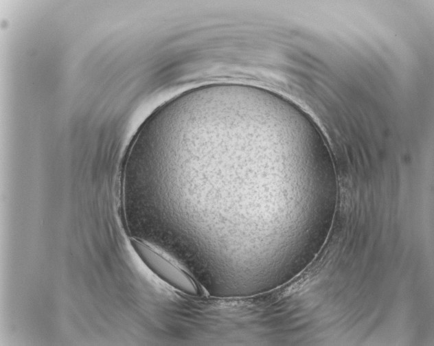 X0000087361531200705041842