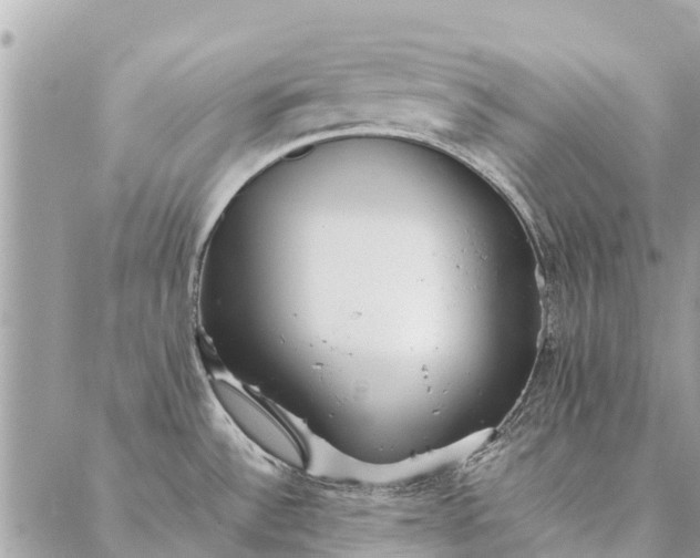 X0000087361532200705041842