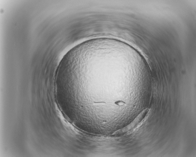 X0000087361534200705041842