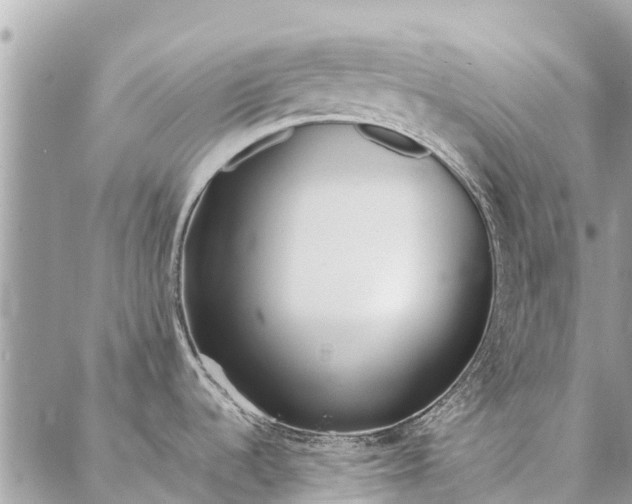 X0000087361536200705041842