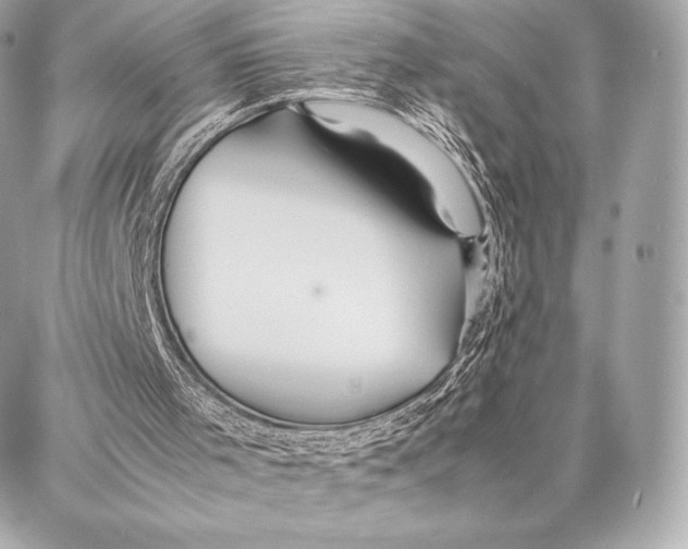 X0000087360001200705111656