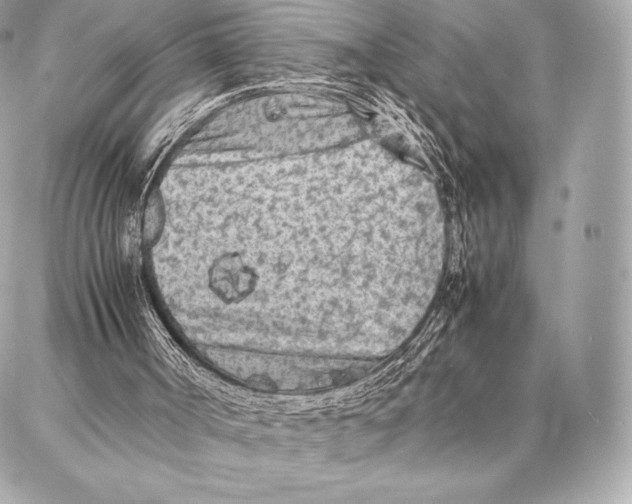 X0000087360002200705111656