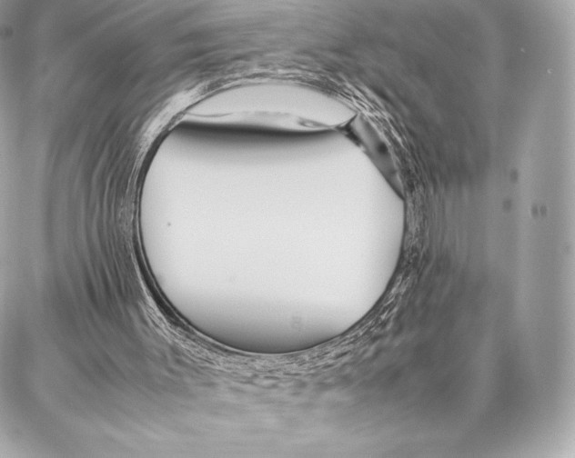 X0000087360003200705111656