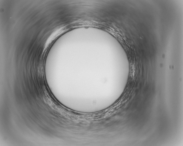 X0000087360004200705111656