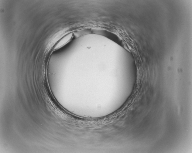 X0000087360005200705111656