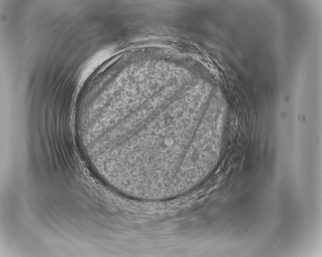 X0000087360006200705111656