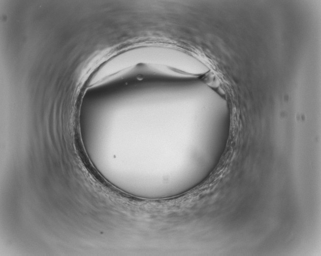 X0000087360007200705111656