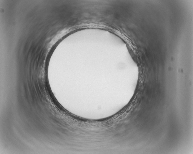 X0000087360008200705111656