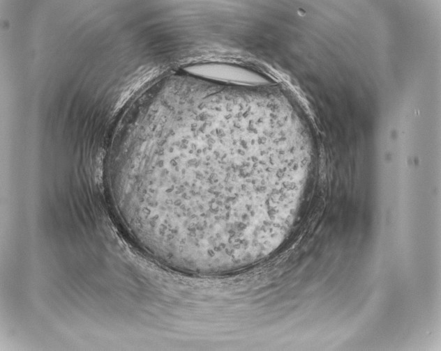 X0000087360010200705111656