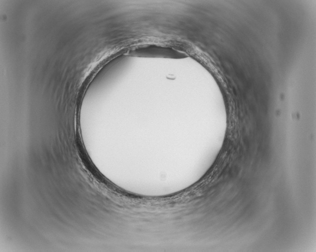 X0000087360011200705111656