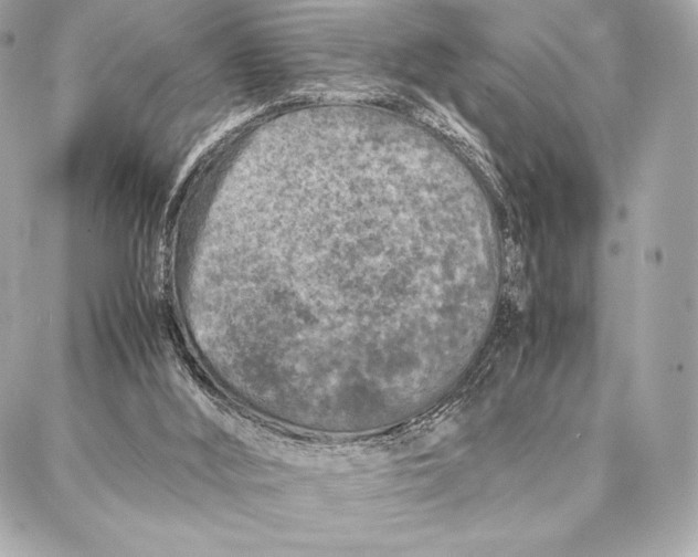 X0000087360012200705111656