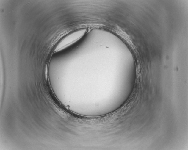 X0000087360013200705111656