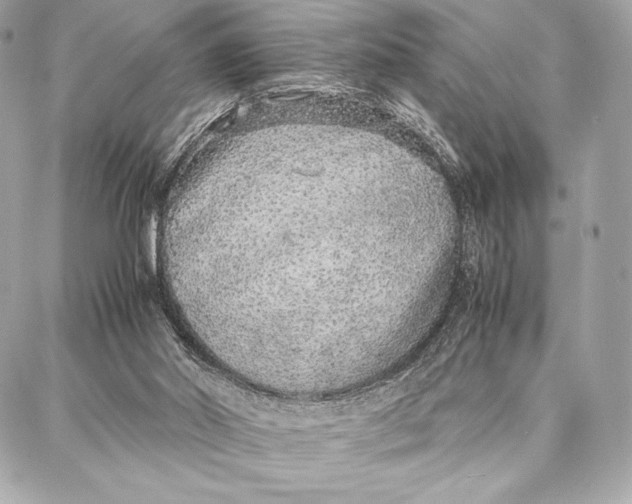 X0000087360014200705111656