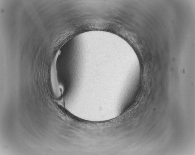 X0000087360017200705111656