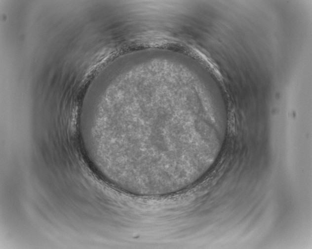 X0000087360018200705111656