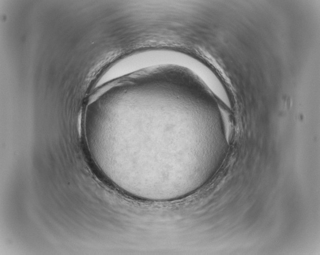 X0000087360019200705111656