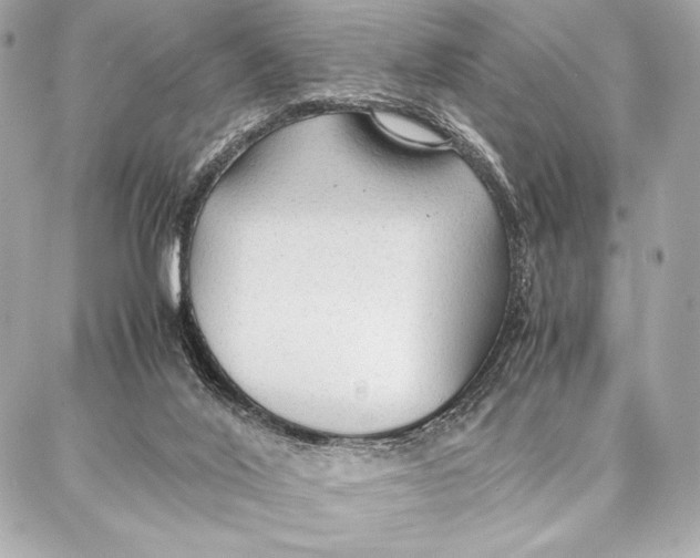 X0000087360020200705111656