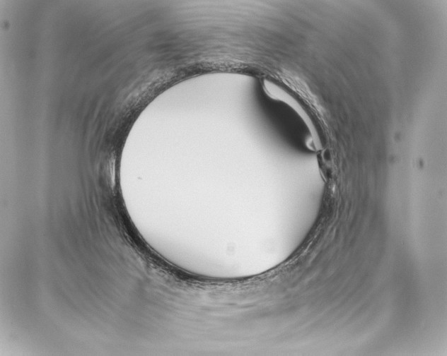 X0000087360021200705111656