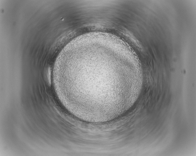 X0000087360022200705111656