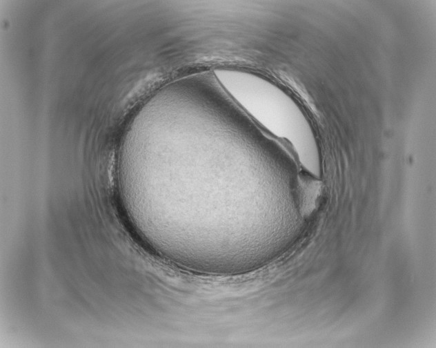 X0000087360023200705111656