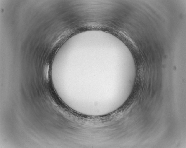 X0000087360024200705111656