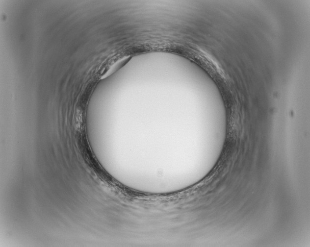 X0000087360025200705111656