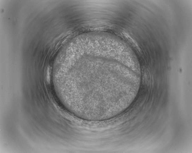 X0000087360026200705111656